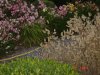 DSC06947 - copia.JPG