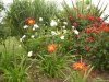 DSC07956.JPG