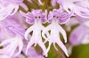 0_f12ae_32d7566f_orig.jpg