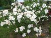 DSC07823.JPG