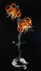 amazing-glass-sculpture8d.jpg