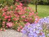 DSC07418.JPG