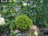 DSCN1702.JPG