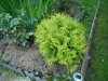 DSCN1821.JPG