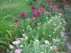 DSC07864.JPG