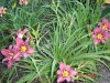 DSC07921.JPG