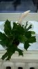 WP_20151123_08_32_01_Pro.jpg
