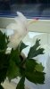 WP_20151124_08_35_11_Pro.jpg