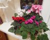 DSCN2479.JPG