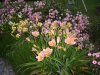 DSC06938.JPG