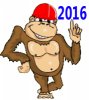 ава обезьяна 2016.jpg