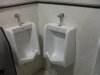 file_247245.jpg