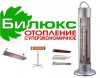 file_256163.jpg