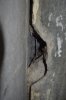 DSC_0195.JPG