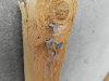 IMG_20160402_103755.jpg