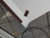 IMG_20160424_125401.jpg