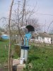 PICT0059.JPG