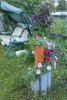 DSCN3170.JPG