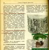 Рак дерева.jpg