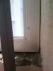 IMG_20170601_125235.jpg