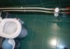 file_278040.jpg