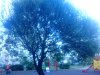 IMG_20170601_184821.jpg