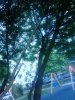 IMG_20170609_100246.jpg