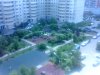 IMG_20170608_132646.jpg