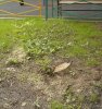DSCN4287.JPG