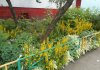 DSCN4290.JPG