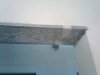 IMG_20170727_124737.jpg