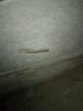 IMG-20170810-WA0047.jpeg