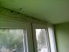 20171002_122136.jpg