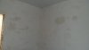 1510376994279-289808803.jpg
