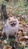 IMG-20171224-WA0000.jpg