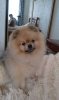 IMG-20171224-WA0001.jpg