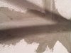 IMG_20180505_090221.jpg
