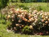 DSC07460.JPG