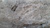 20180802_200754.jpg