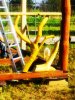 Фото0233.jpg