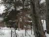 IMG_20190305_145136.jpg