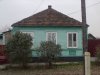 DSC07879.JPG