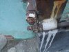 DSC07881.JPG
