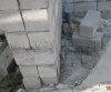 каналья поменьше.jpg