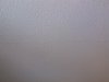 IMG_20141129_102556.jpg