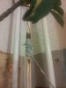 20141210_195247.jpg