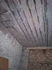 IMG_20210129_134627.jpg