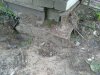 20210601_193721.jpg