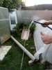 IMG_20210817_185351.jpg