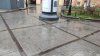 IMG_20211110_141644_compressed.jpg